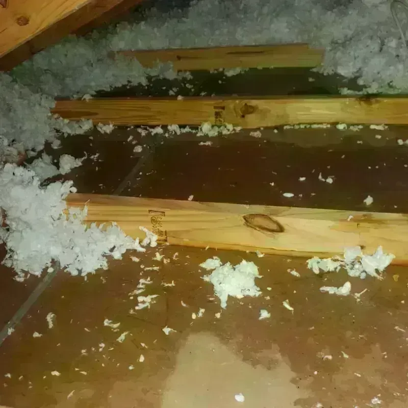 Attic Water Damage in Fostoria, OH